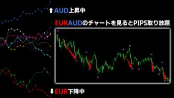 異国の戦士FXの通貨強弱システム実践チャート